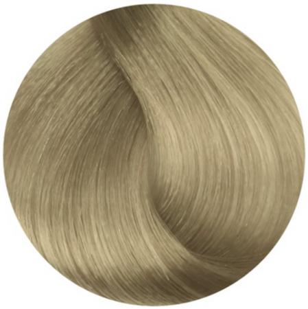 Стойкая профессиональная краска для волос - Goldwell Topchic Hair Color Coloration 11A (Белокурый пепельный)
